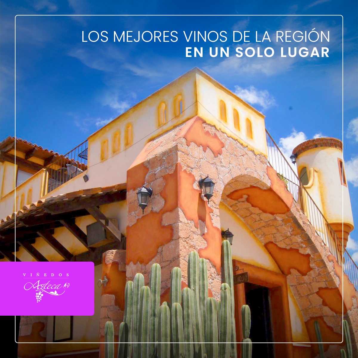 Viñedos Azteca