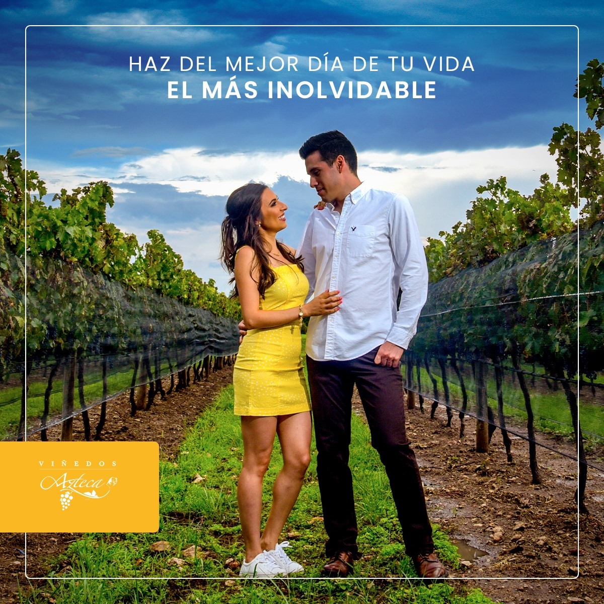 Viñedos Azteca