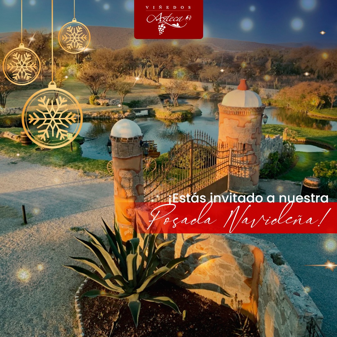 Viñedos Azteca