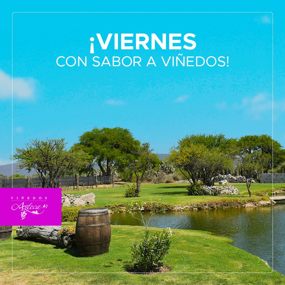 Viñedos Azteca
