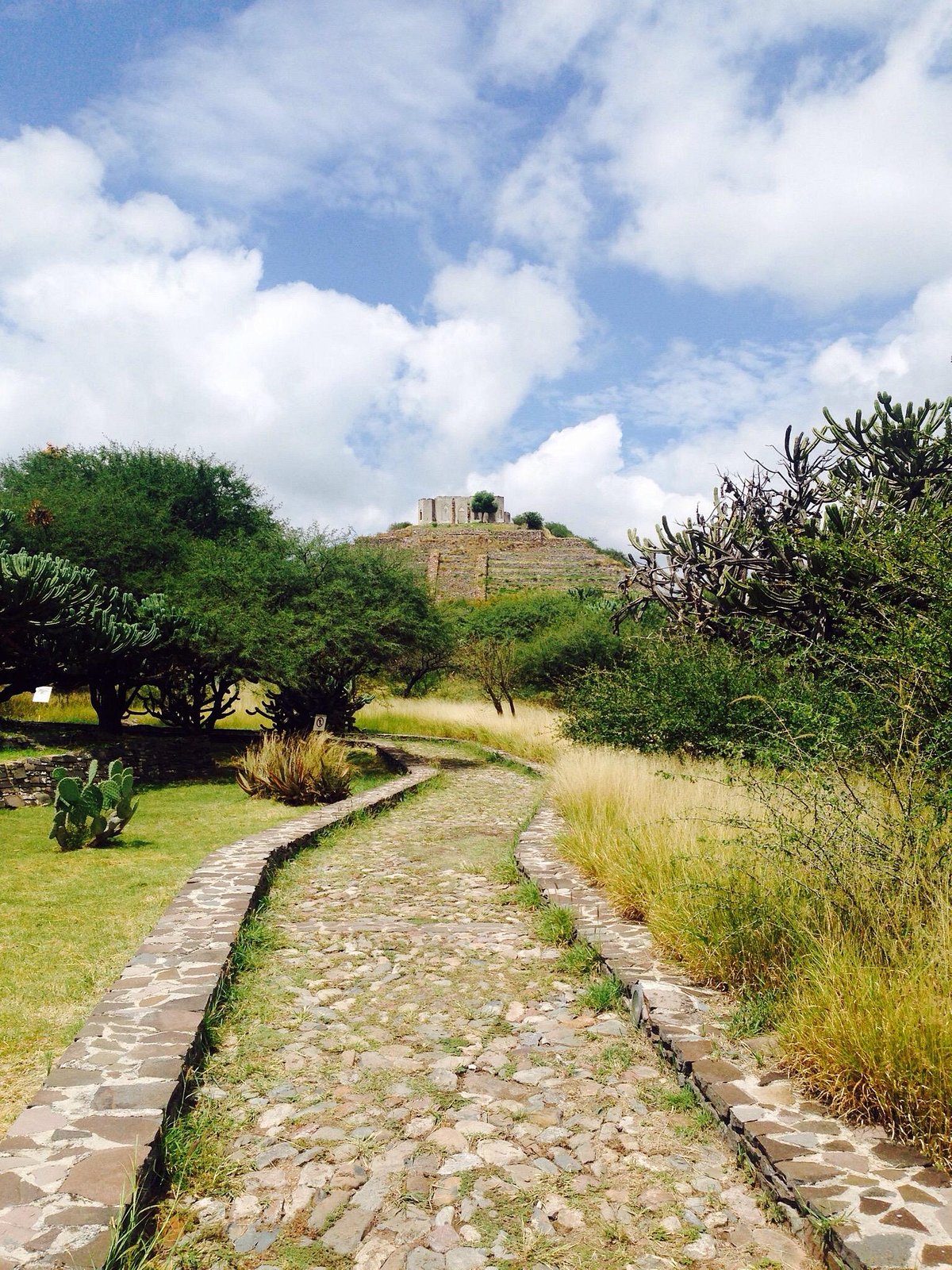 EL Cerrito